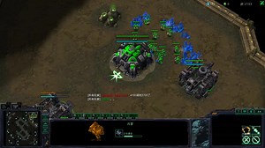 天梯tvz tvp学黑萝卜，群殴全xjb打