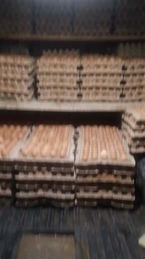 Videos de el baraton (@freddyjaramillovi) con “sonido original - el baraton”