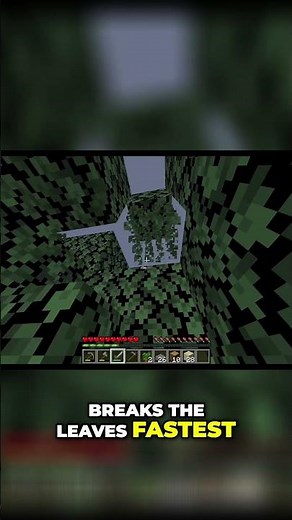 Minecraft: New Leaf Decay & Hoe Update!