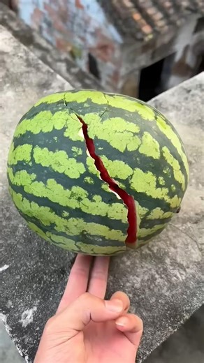 🔥🎨Will a watermelon explode if it rolls offa tall building! 🍉🍏 #shorts