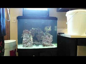 Saltwater Rookie - Biocube 29g - Performing A Water Change