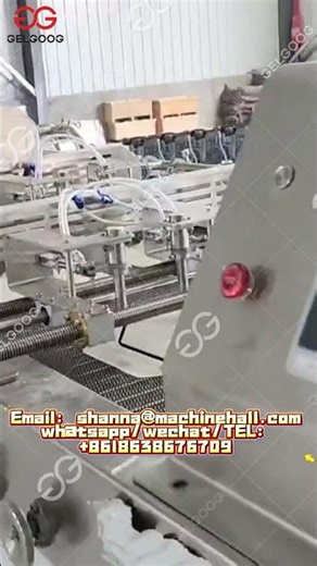 Amazing Spring Roll Production Line With High Productivity