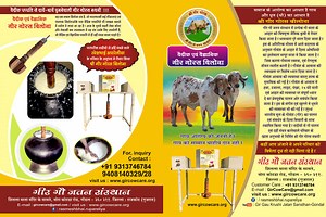 Vedic Wooden Curd Churning Bilona Auto Electronic Machine for Gaushala