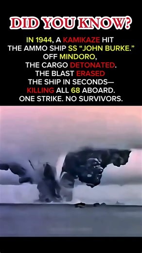 One Strike. Total Detonation. (WWII Ammo Ship) #ww2 #history #militaryhistory