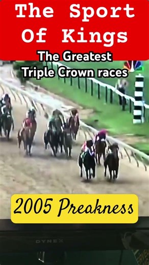 Great triple crown races. 2005 Preakness. Afleet Alex. #greathorseraces