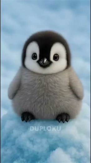 Penguin edit#penguin#trending#edit