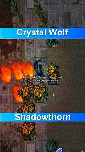 Tibia Crystal Wolf Shadowthorn #tibia #tibia2025 #tibiabosses #tibiagame #tibiaglobal #tibiamount