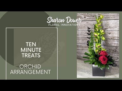How to create a simple flower arrangement using a single Orchid stem