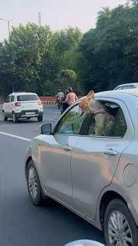 Full funny mini vlog 😜😂 #minivlog #farruvlogs11