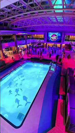 Carnival Splendor ship tour arriving in Sydney Australia