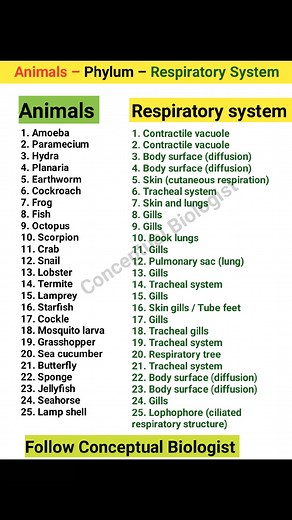 Animals and their Respiratory structures 🔥 . . . . . Like and share Follow Conceptual Biologist | Conceptual Biologist