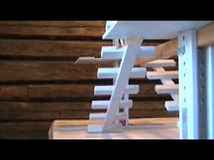 Trained chicken doing an obstacle course