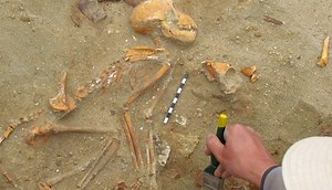 Ancient Egyptian monkey graveyard reveals pets buried like sleeping children