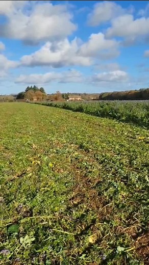HE-VA Product Specialist Glenn Bootman out in sunny Norfolk last week☀️ Customer wanted to demo the Top Cutter Solo with the aim of using it to reduce their reliance on chemical usage, opting for more of a mechanical cover crop destruction approach🌱 What do you think to this?😎 | OPICO