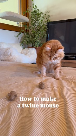 124K views · 13K reactions | How to Make a String Mouse  You’ll...