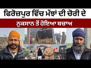 Buffalo theft in Ferozepur saved | Latest Punjabi News