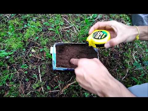 Laboratorio: Método Científico
