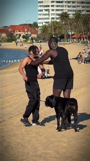 Dog Swap Prank Gone Wrong 😩 #funny #prank #comedy