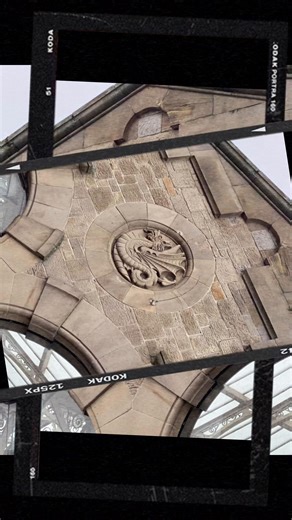 Notice the dragon 😂 🐉 #tour #bikelife #train #journey #fyp