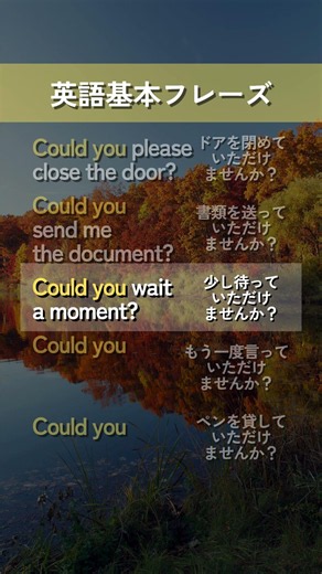 【英語基本フレーズ No.029】Could you 動詞? （～していただけませんか？）