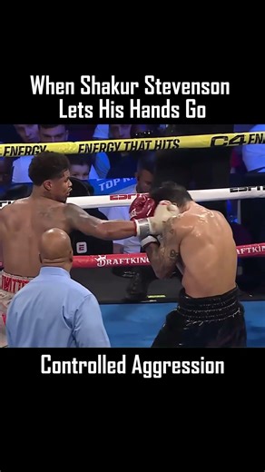 Shakur Stevenson Letting His Hands Go.. #boxing #boxinganalysis #shakurstevenson