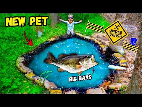 Adding BIG BASS to My Micro Pond **Pond Renovation**