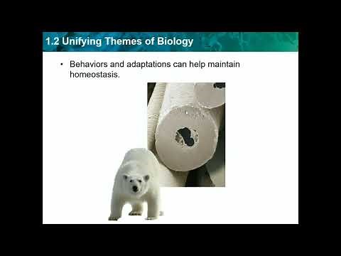 Biology CH 1.2 - Unifying Themes of Biology