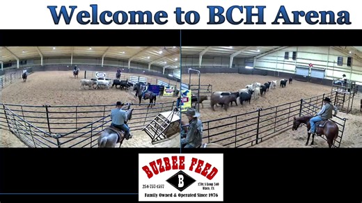 Team Penning & Ranch Sorting | Buckner Cow Horses