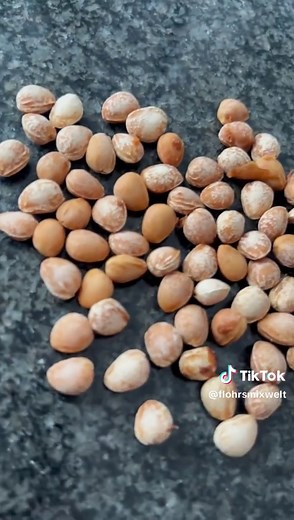 Kirschmarmelade einfach selbst machen