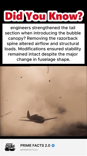 The WW2 Fighter That Could Keep Fighting Damaged #WW2Facts #P47 #WW2Shorts #MilitaryHistory