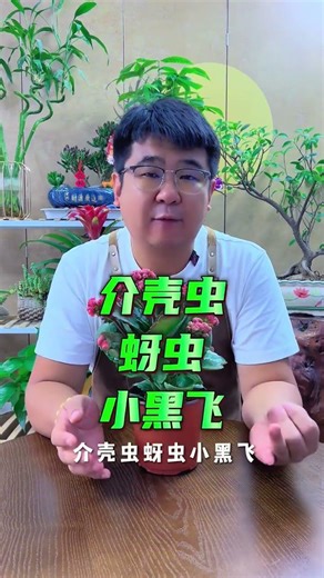 Revolutionize Your Kalanchoe! White Worms Solution Inside PlantCare Gardening