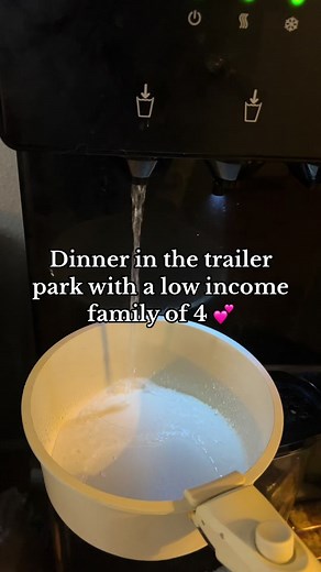 Dinner in the Trailer Park: Affordable Family Recipe