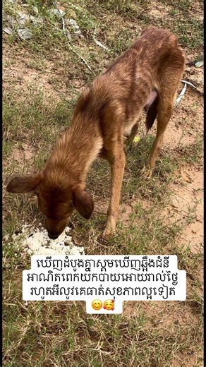 វីដេអូ​របស់ MOMMY POV🕊️🇰🇭 (@9999pov69) ជាមួយ original sound - សូរសព្ទ