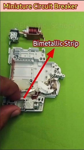 How MCB Works? Live Demonstration Electric School