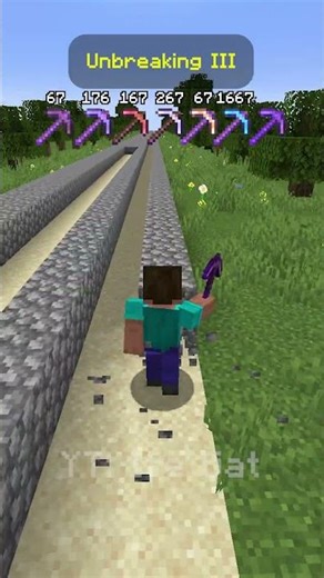 Unbreaking III 67 in Minecraft