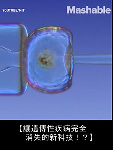 5.9K views · 46 reactions | 【能夠讓遺傳性疾病完全消失的新科技！？】 未來能讓嬰兒還在媽媽肚子裡時 就把突變的DNA替換成適合的DNA 甚至還能讓長毛象重生...！？ #未來 #科技 #最新 | Future Lab. 未來實驗室 | Facebook