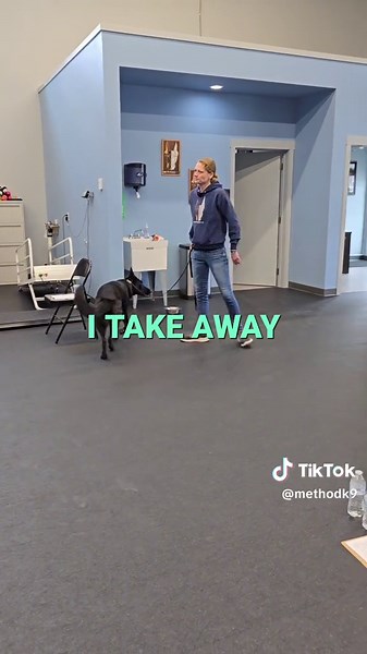 Negative reinforcement is a powerful concept and highly misunderstood. Learn more from us at methodk9.com