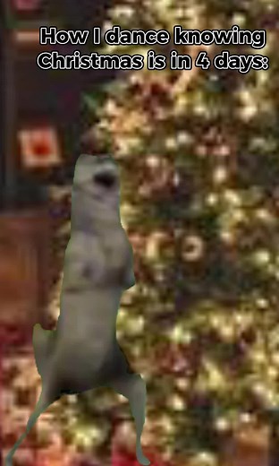 Dancing Wolf Meme Tutorial Dance