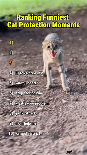 TOP 10 CAT PROTECTION MOMENTS 😂 #shorts #shortsviral #catshorts #top10