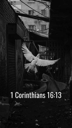 Hope When You Feel Afraid: God's Promise to Be With You #shorts