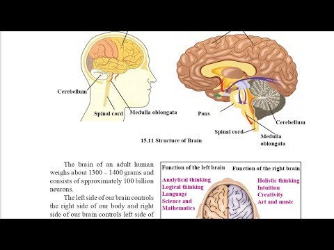 ⭕9th Std Science|CH-15 Life Processes In Living Organism|Part-6| #stateboard