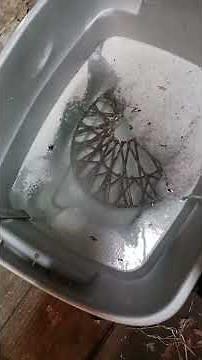 electrolysis rust removal