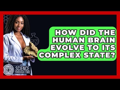 How Did The Human Brain Evolve To Its Complex State? - Science Through Time