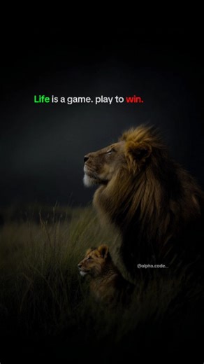 AlphaCode | Mindset on Instagram: "Only One Rule: Win. .. CAPTIONS 🎯 Life doesn’t reward players, it rewards winners. 🎯 If you’re in the game, don’t just show up — dominate. Play hard. Play smart. Play to win. .. Follow - @alpha.code._ for dark mindset, bright wins. Follow - @alpha.code._ .. #PlayToWin #LifeIsAGame #AlphaMindset #DisciplineOverMood #DarkMotivation #SavageMindset #StayConsistent #NoExcuses #MindsetIsEverything #motivation #sucess #fyp #virel"