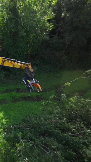 When it comes to trees and machinery, safety isn’t optional.. it's essential! #mde #mdemachinery #forestry #treefelling