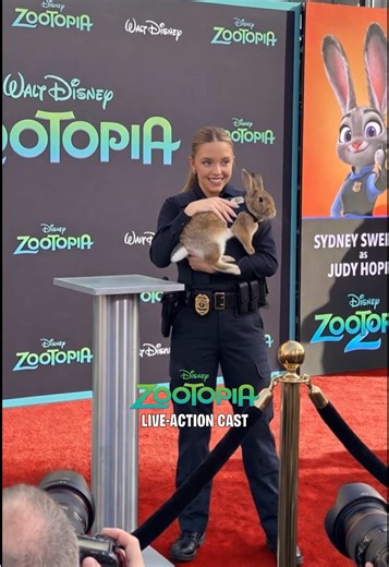 Zooptopia Live-Action Cast 2026 Red Carpet Debut 🎬 | zootopia