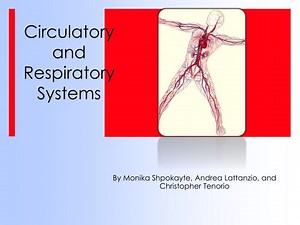 Circulatory and Respiratory Systems - SlideServe