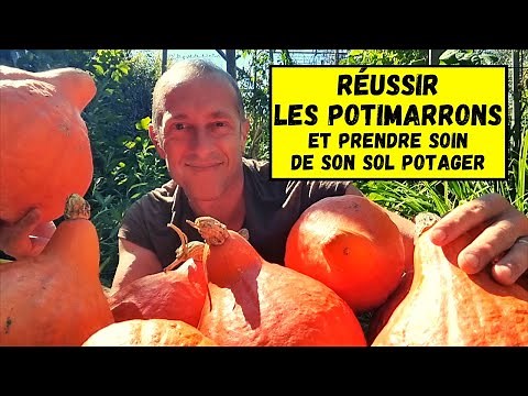 La culture du potimarron au potager ► Itinéraire sol vivant 2022