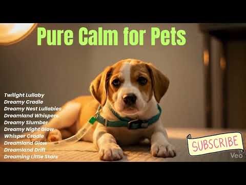 Soft Recovery Sounds for Puppy After Treatment