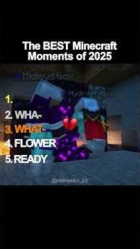 The BEST Minecraft Moments Of 2025